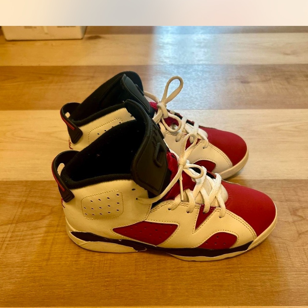 Air jordan carmine retro 6s